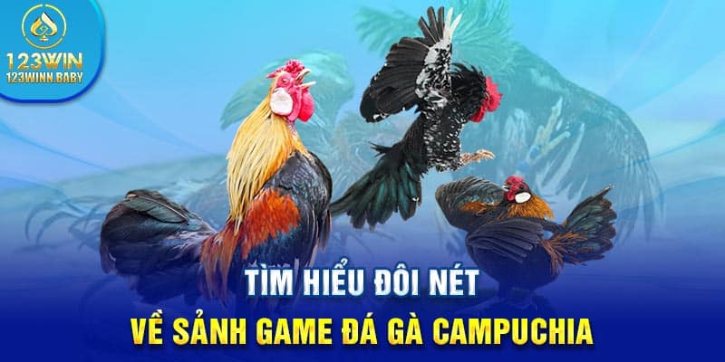 Tìm hiểu đôi nét về sảnh game đá gà Campuchia