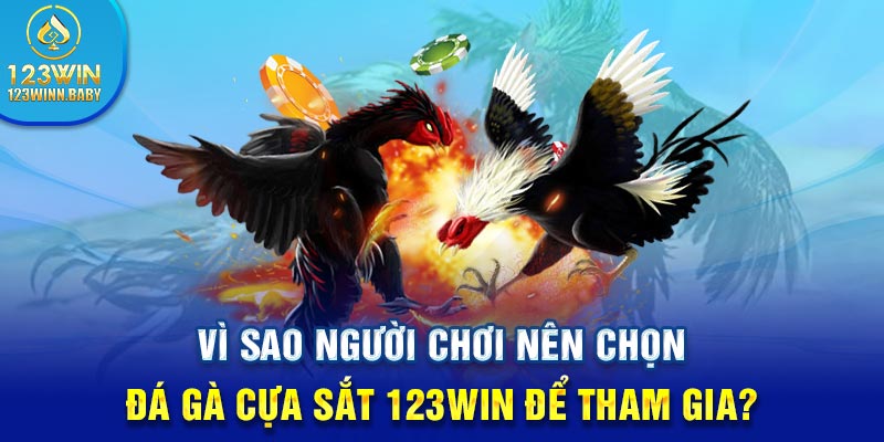 Vì sao người chơi nên chọn đá gà cựa sắt 123win để tham gia?