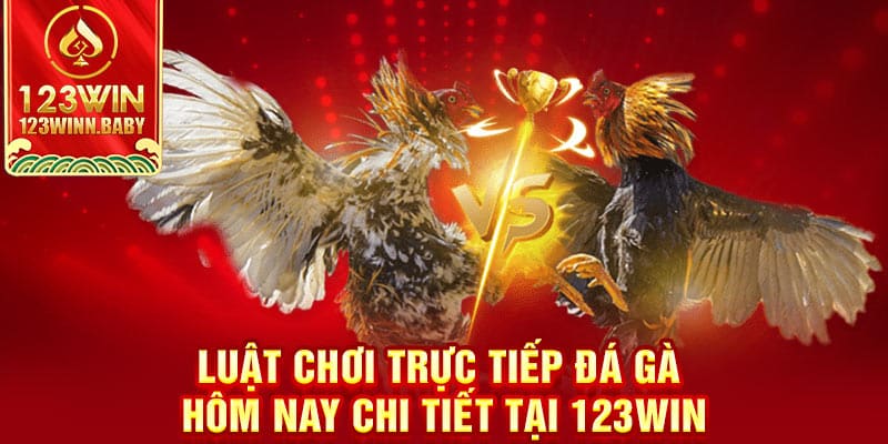 Luật chơi trực tiếp đá gà hôm nay chi tiết tại 123win