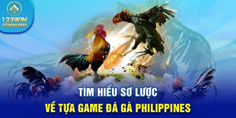 TÌm hiểu sơ lược về đá gà Philippines