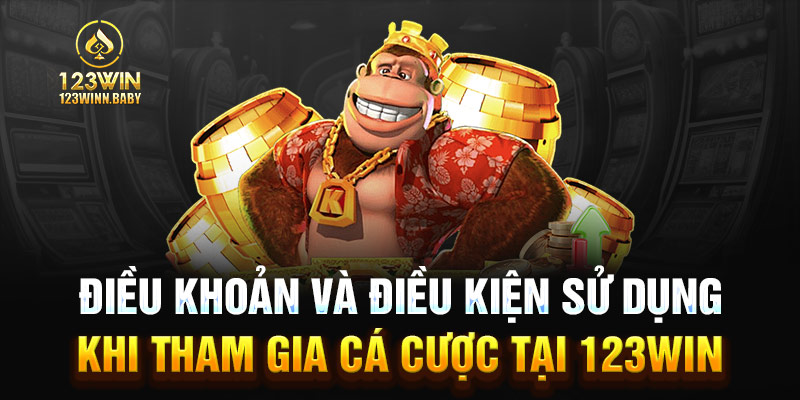 Điều khoản và điều kiện sử dụng khi tham gia cá cược tại 123win