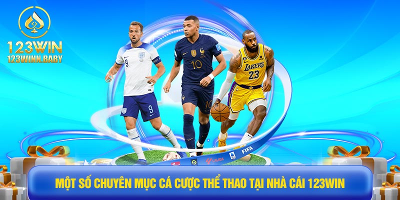 Một số chuyên mục cá cược thể thao tại nhà cái 123win