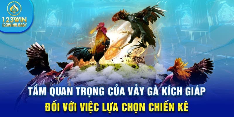 Tầm quan trọng của vảy gà kích giáp đối với việc lựa chọn chiến kê