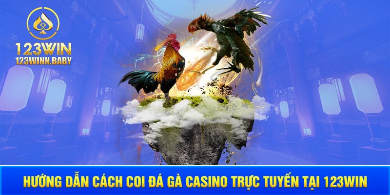 Hướng dẫn cách coi đá gà casino trực tuyến tại 123win