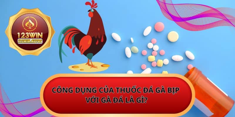 Công dụng của thuốc đá gà bịp với gà đá là gì?