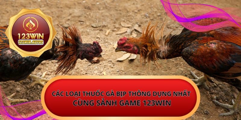 Các loại thuốc gà bịp thông dụng nhất cùng sảnh game 123WIN