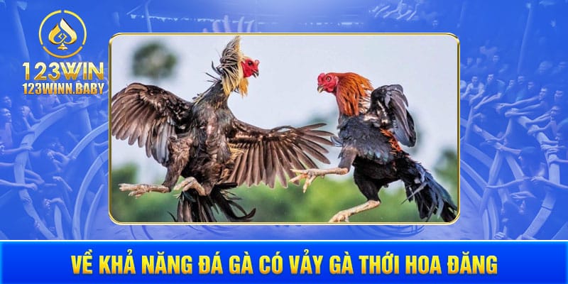 Về khả năng đá gà