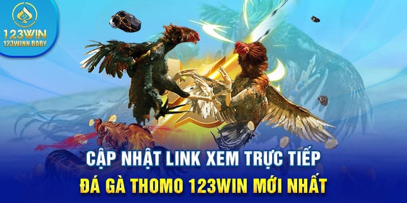 Cập Nhật Link Xem Trực Tiếp Đá Gà Thomo 123win Mới Nhất