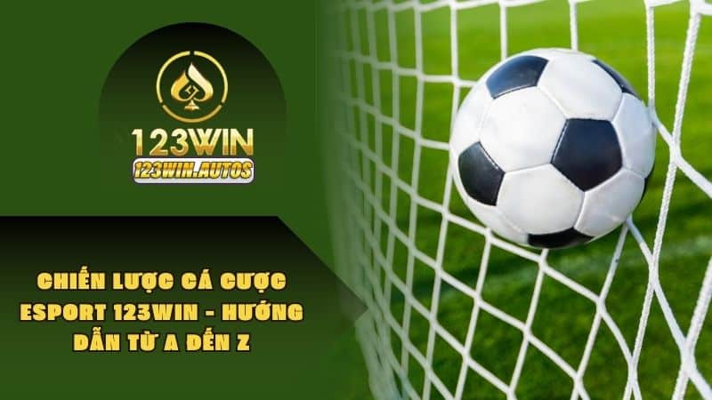 Chiến Lược Cá Cược Esport 123WIN - Hướng Dẫn Từ A Đến Z